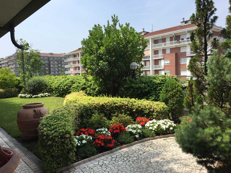 Il funghetto torino giardiniere manutenzione giardini Progettazione giardini torino